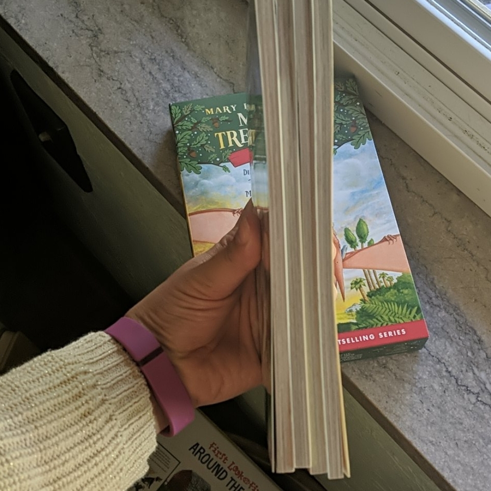 New Magic Tree House #1-4 Box Set - Picture 3 of 3